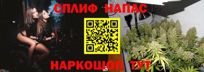 дурь Шелехов