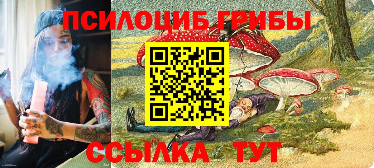 Нефтекумск  Псилоцибиновые грибы MAGIC MUSHROOMS  Вход с VPN 