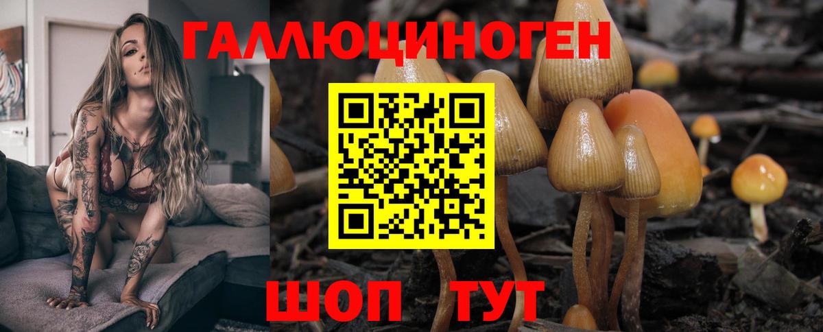 Галлюциногенные грибы GOLDEN TEACHER Нефтекумск